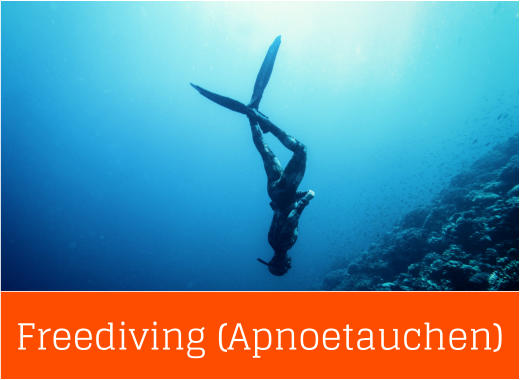 Freediving (Apnoetauchen)